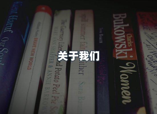 关于我们